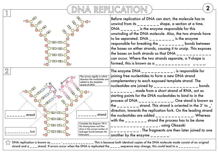 Dna and protein synthesis worksheet