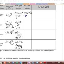 Biomolecule review worksheet answer key pdf