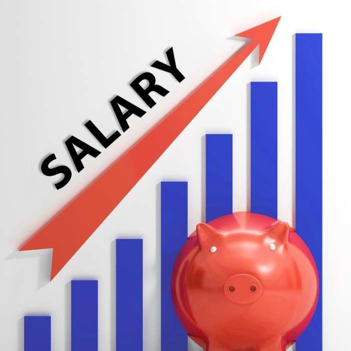 Salary sueldo ingreso beneficio deuda