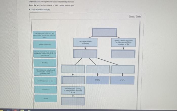 Concept map lymphatic structure lymph functions transport list vessels distribution describe propositions using create 14 mechanisms than circulation blood fluid