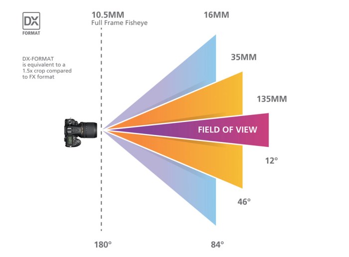 Which objective lens provides the largest total magnification