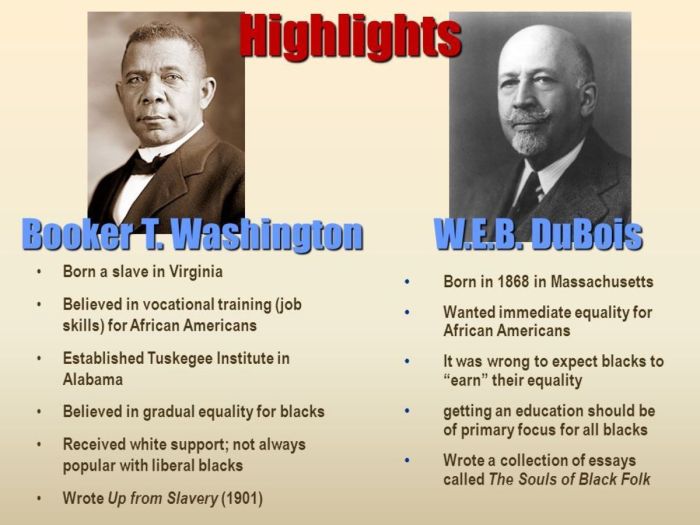 Booker t washington w.e.b. dubois venn diagram