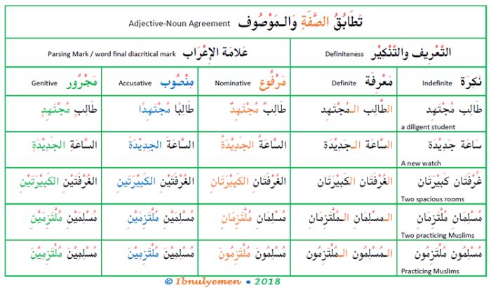 Gramatica a noun adjective agreement answer key