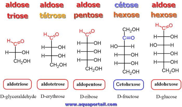 Carbohydrate observations 7pts 14pts blanks