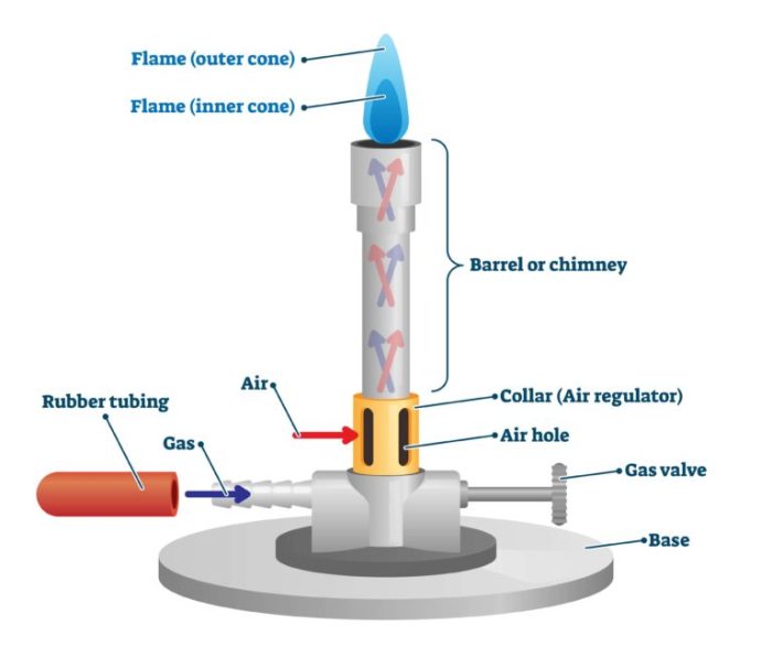 List 3 correct lab procedures depicted in the illustration