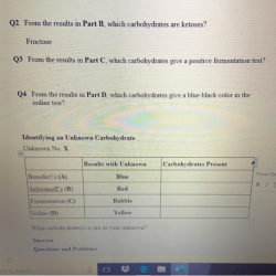 From the results in part b which carbohydrates are ketoses