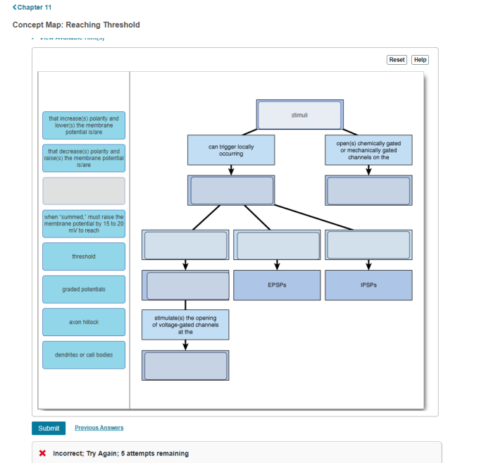 Complete the concept map to describe graded potentials.