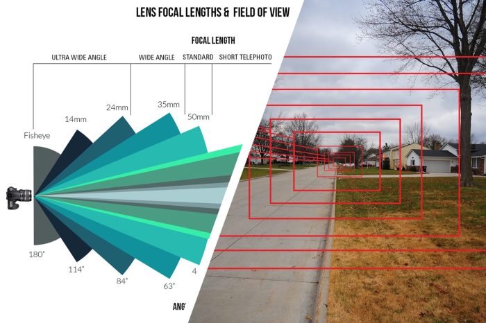 Which objective lens provides the largest total magnification